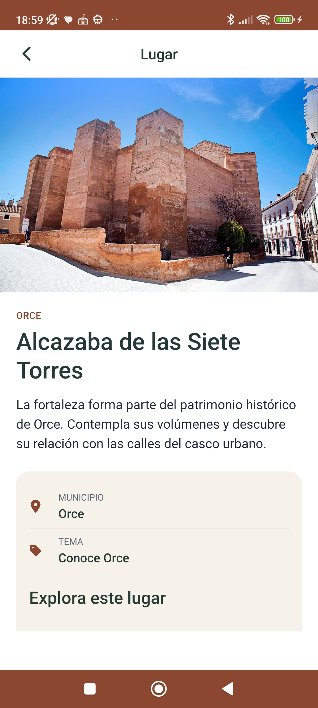 Ficha abierta tras reconocer una imagen de la colección.